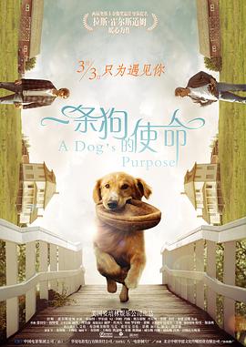 扇乳抽打虐臀调教耳光视频